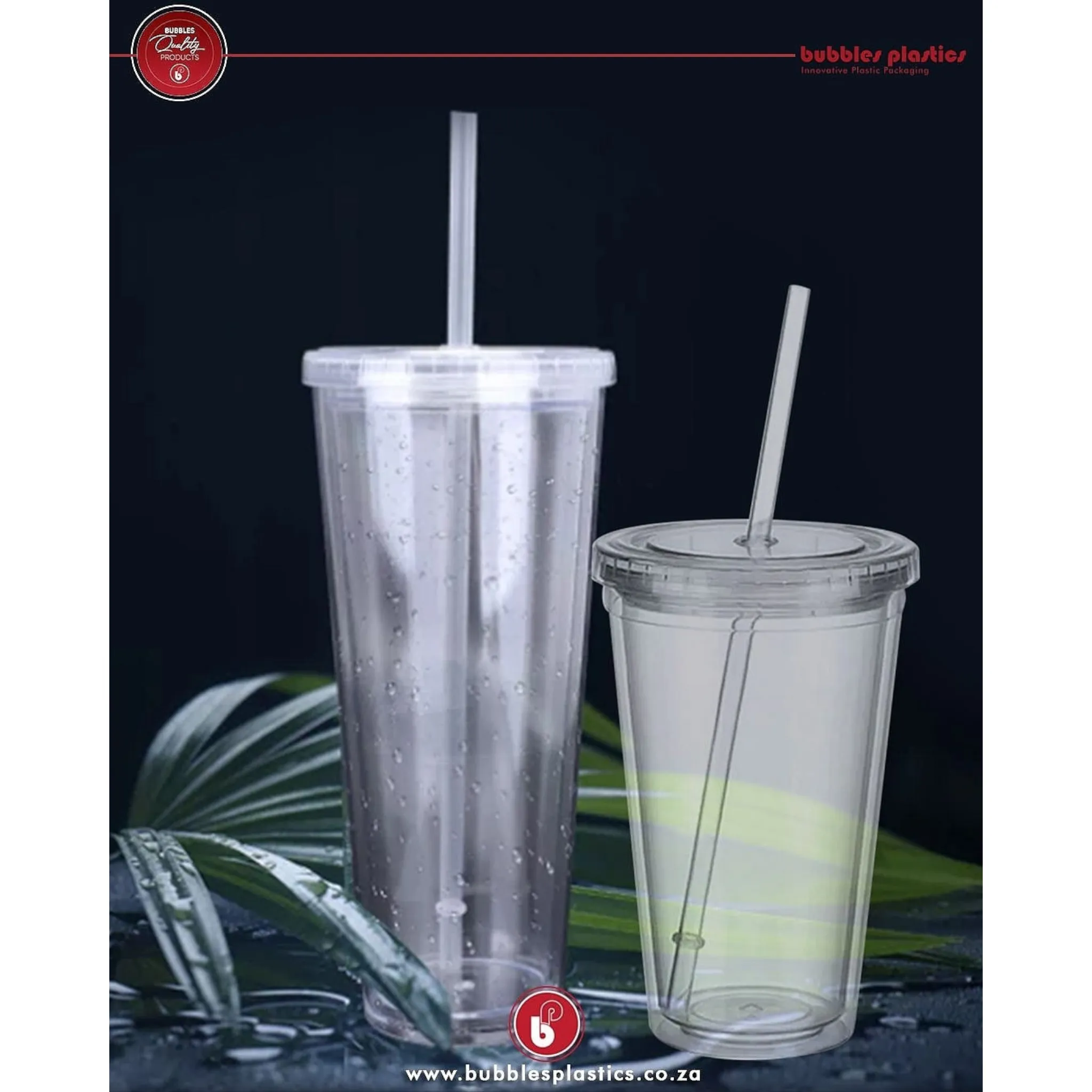 450ml Acrylic Tumbler Double Wall Insulated Cup with Straw