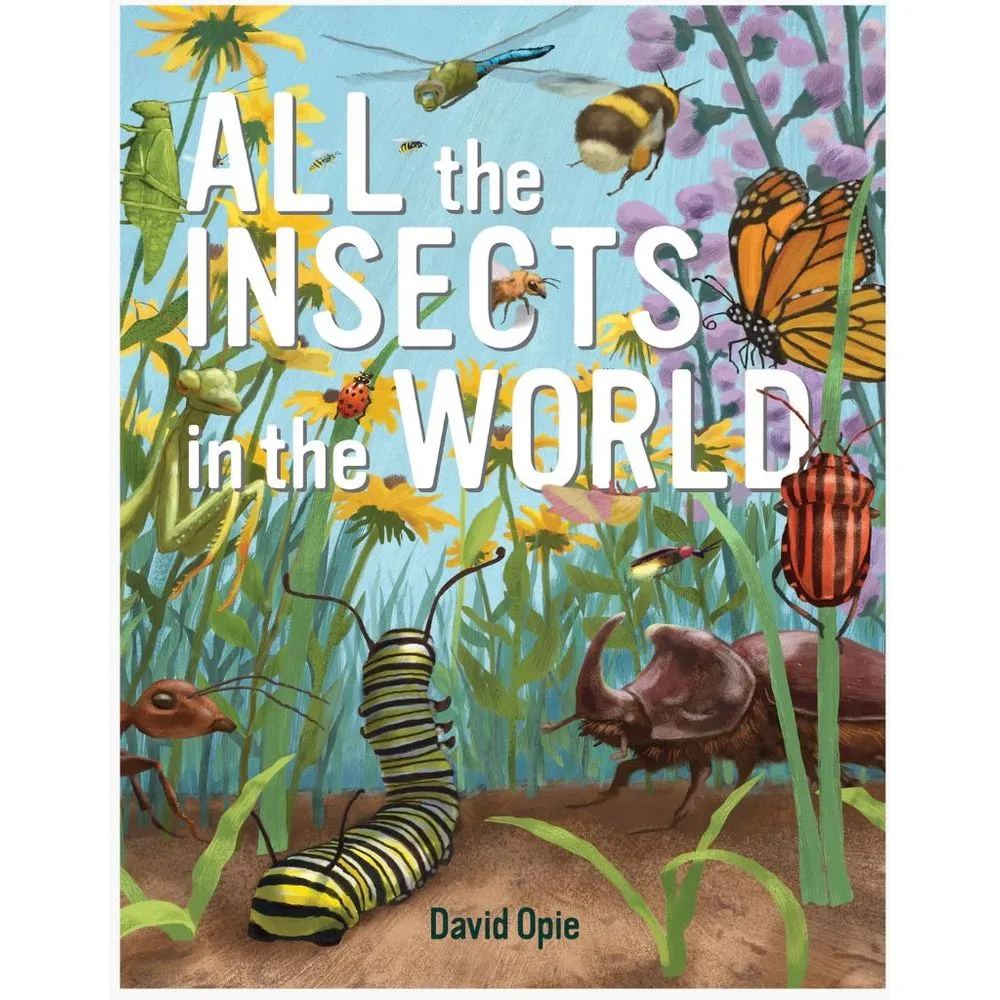 All the insects  in the world