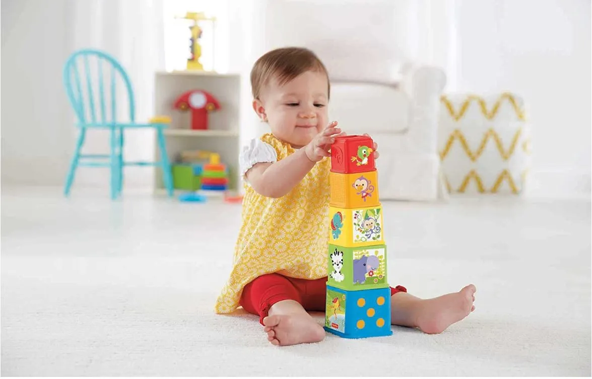 Fisher-Price Stack & Explore Blocks