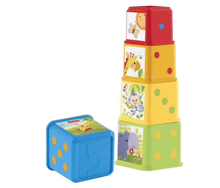 Fisher-Price Stack & Explore Blocks