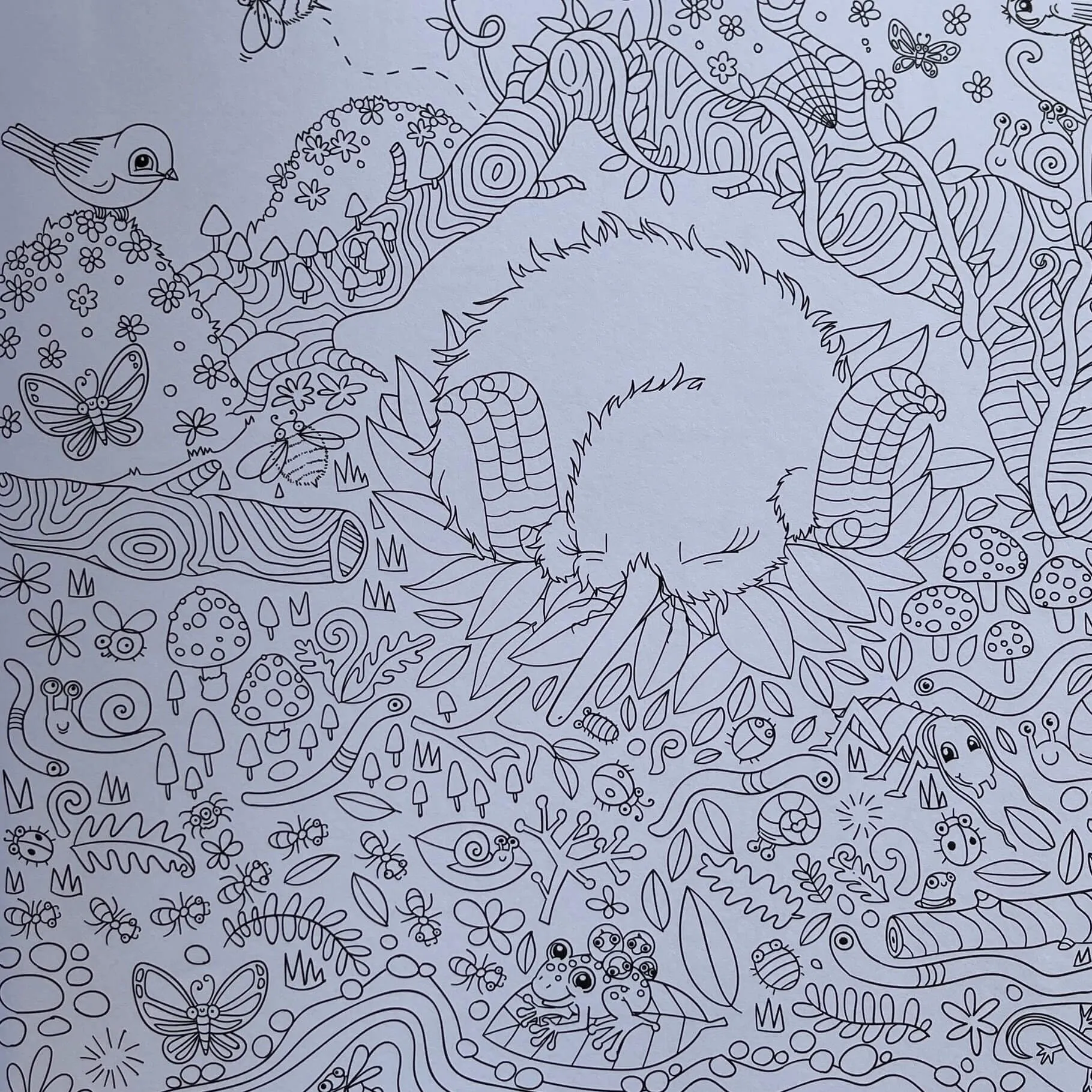 Kuwi's Creative Colouring Book