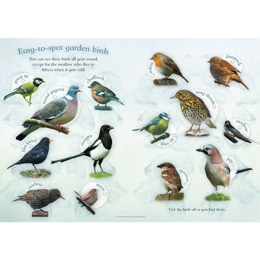 Let's Look For Garden Birds: A Spot, Stick, Colour & Play Book by Andrea Pinnington