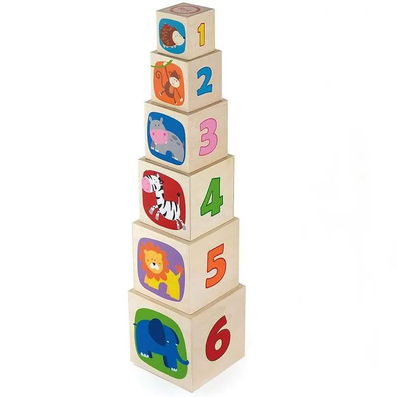 Nesting & Stacking Blocks