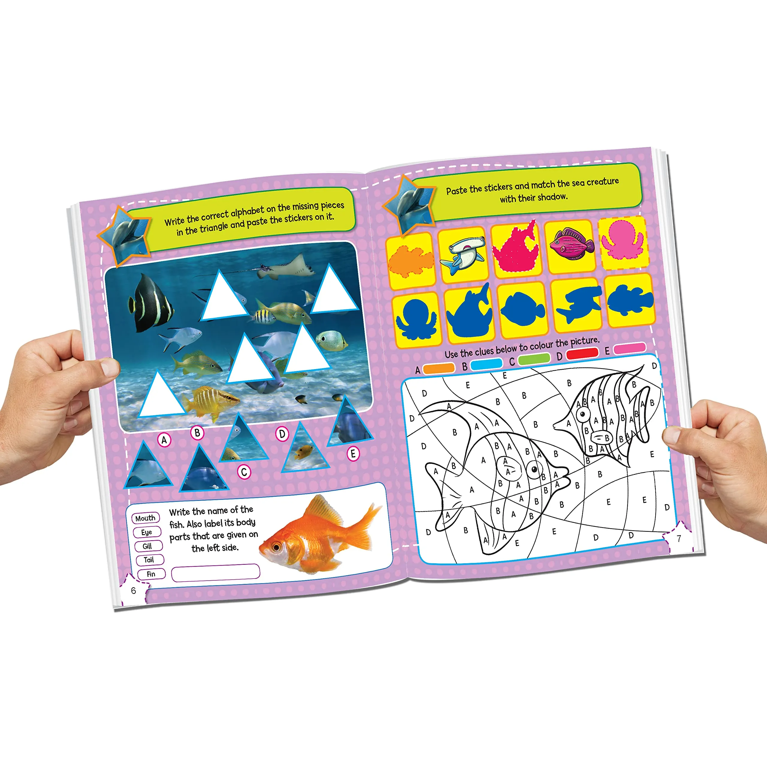 Sticker Activity Books for Children Age 3-6 years (Pack of 5)